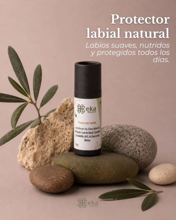 WhatsApp Image 2026-07-15 at 20.30.17 (1) Protector Labial