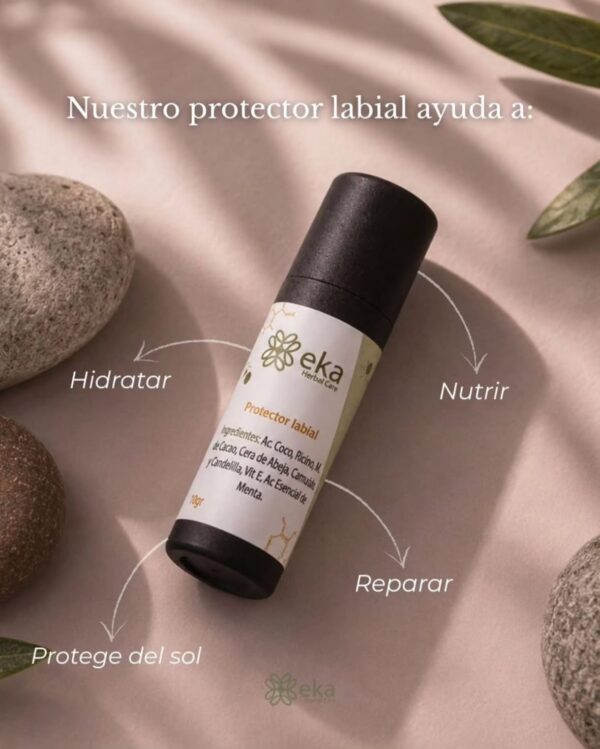 WhatsApp Image 2026-07-15 at 20.30.17 Protector Labial